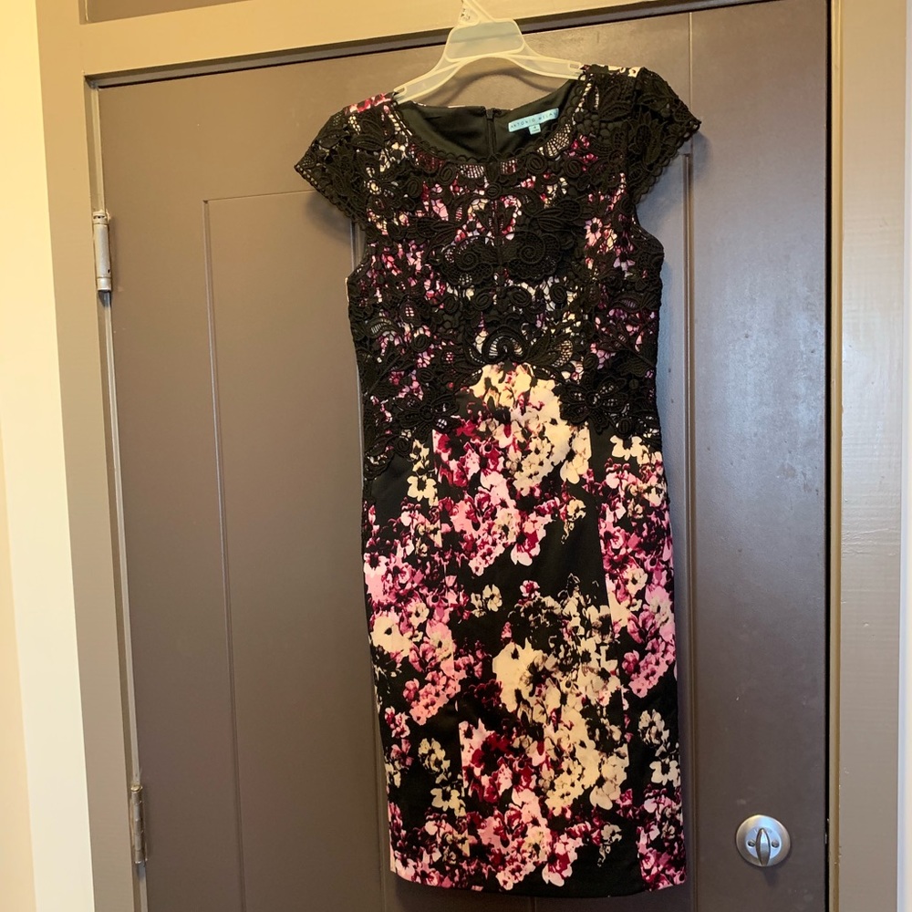 Antonio Melani Size 4 Scuba dress